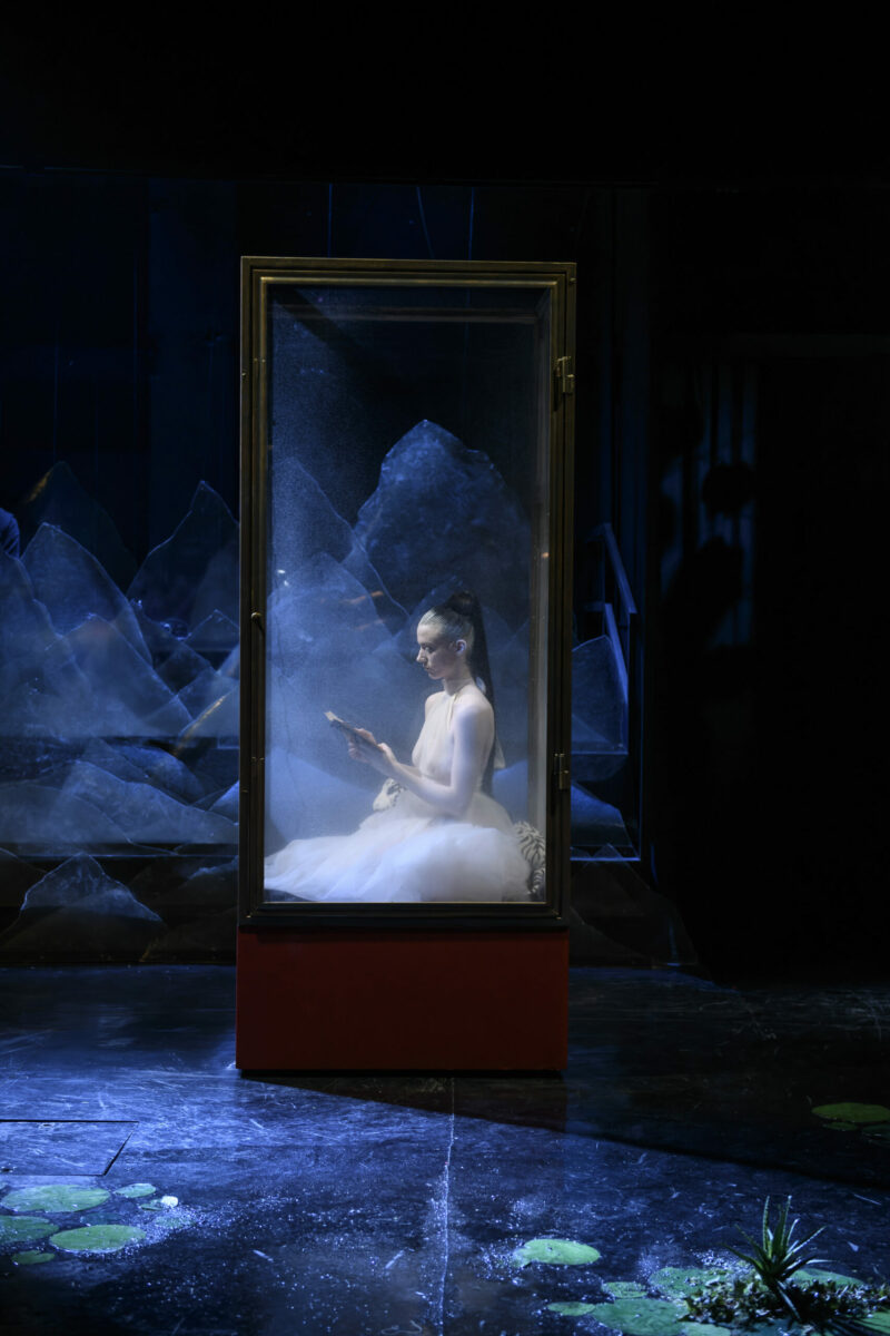 Τουραντό, η γυναίκα που μισούσε τους άντρες – Κάρλο Γκότσι